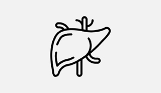 liver