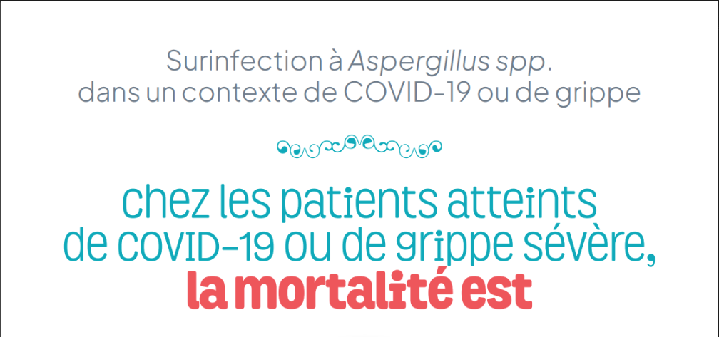 Flashcard grippe covid