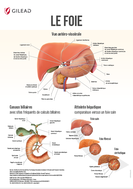 mdf_picture_poster_foie