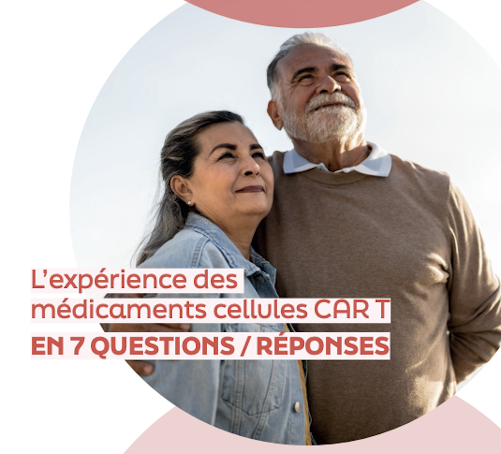 brochure 7 questions