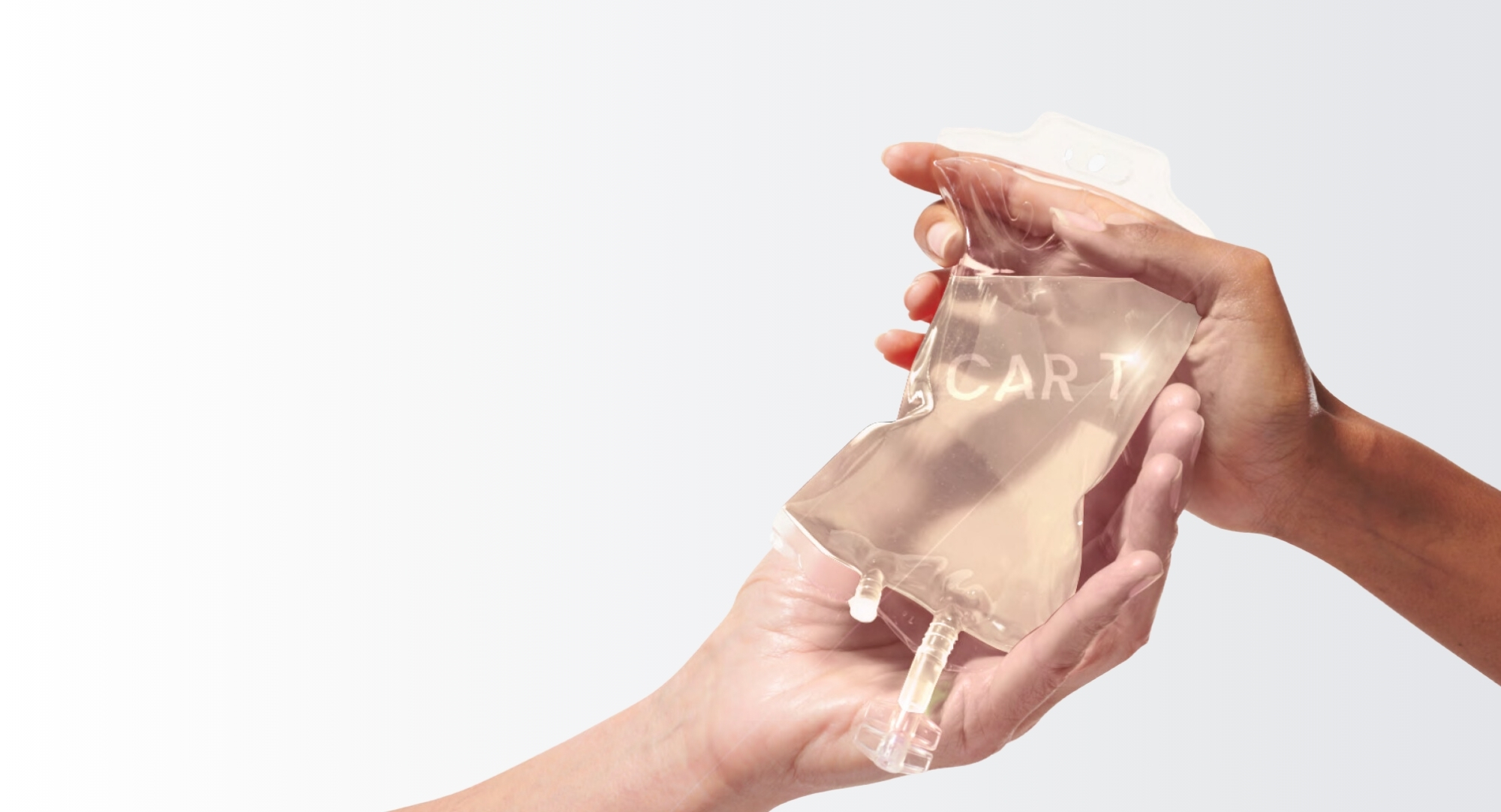 En-tête Car-T Thérapies cellulaires